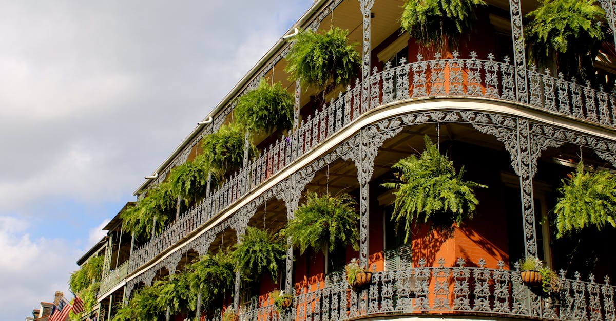 Your Complete Travel Guide to Amite City, Louisiana