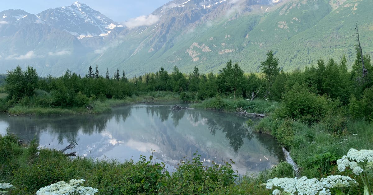 Top Things to Do in Anchorage, Alaska