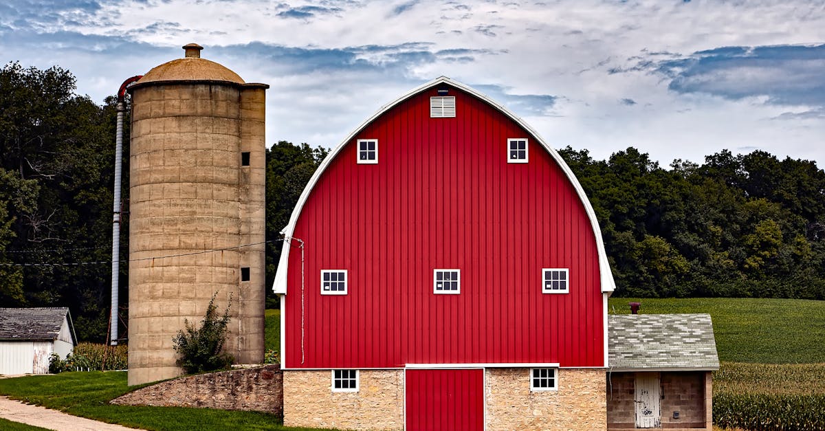 Your Complete Travel Guide to Appleton, Wisconsin