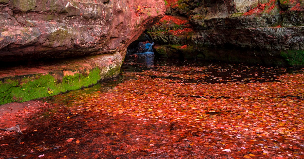 Top Things to Do in Baraboo, Wisconsin