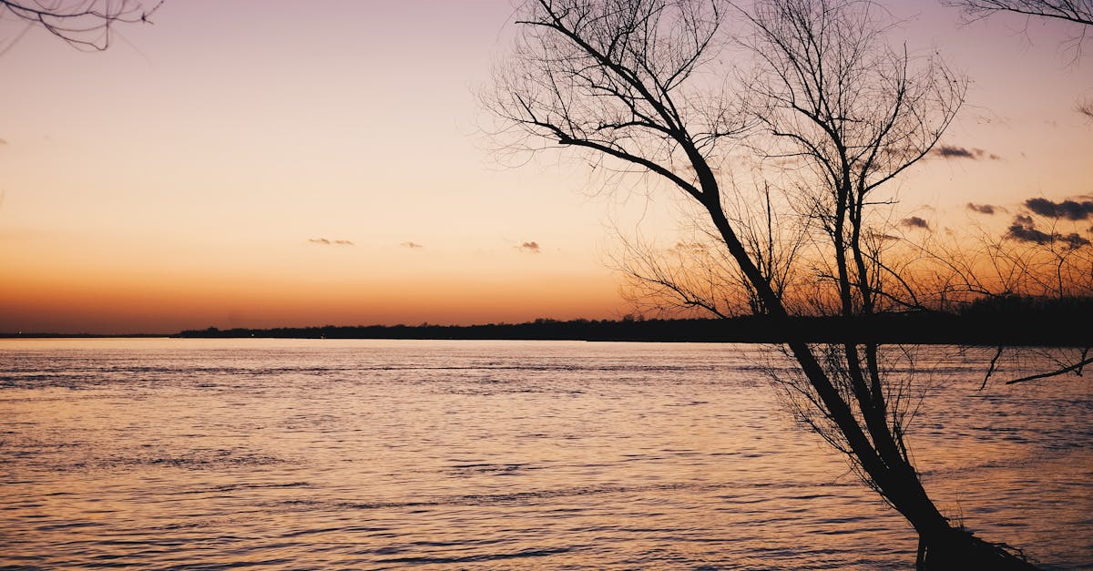 Top Things to Do in Baton Rouge, Louisiana