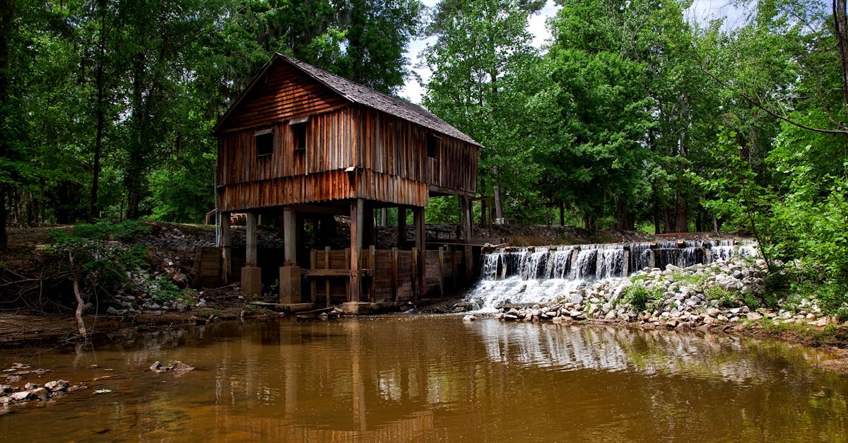 Your Complete Travel Guide to Bear Creek, Alabama
