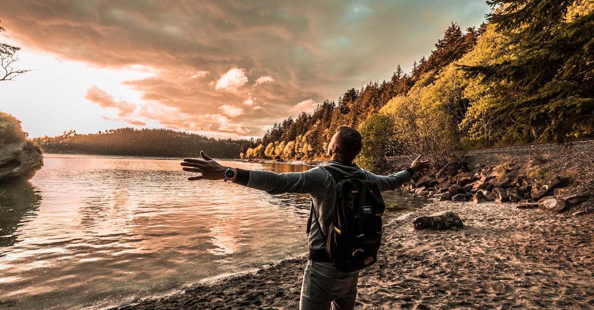 Your Complete Travel Guide to Bellingham, Washington