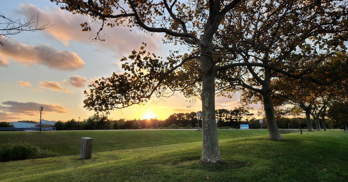 Your Complete Travel Guide to Berlin, Maryland