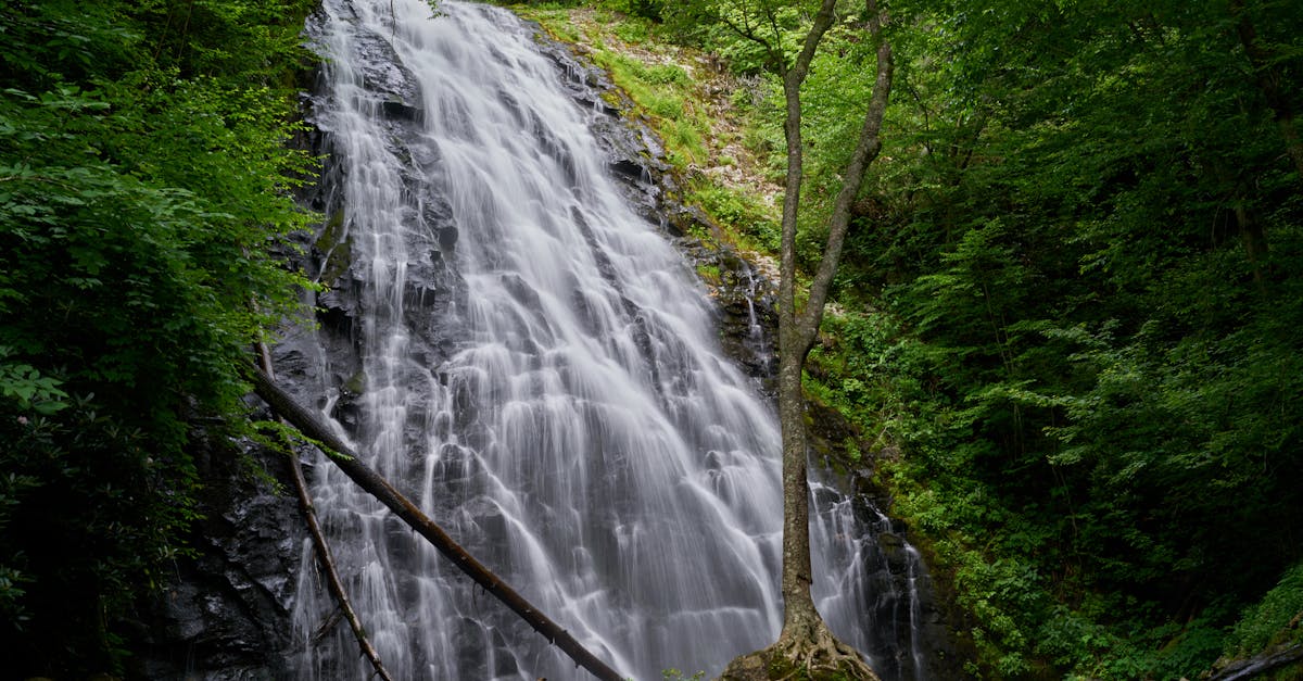 Your Complete Travel Guide to Blowing Rock, North Carolina