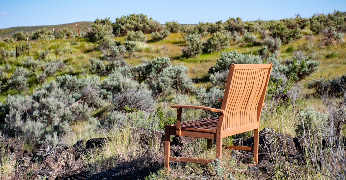 Your Complete Travel Guide to Boise, Idaho