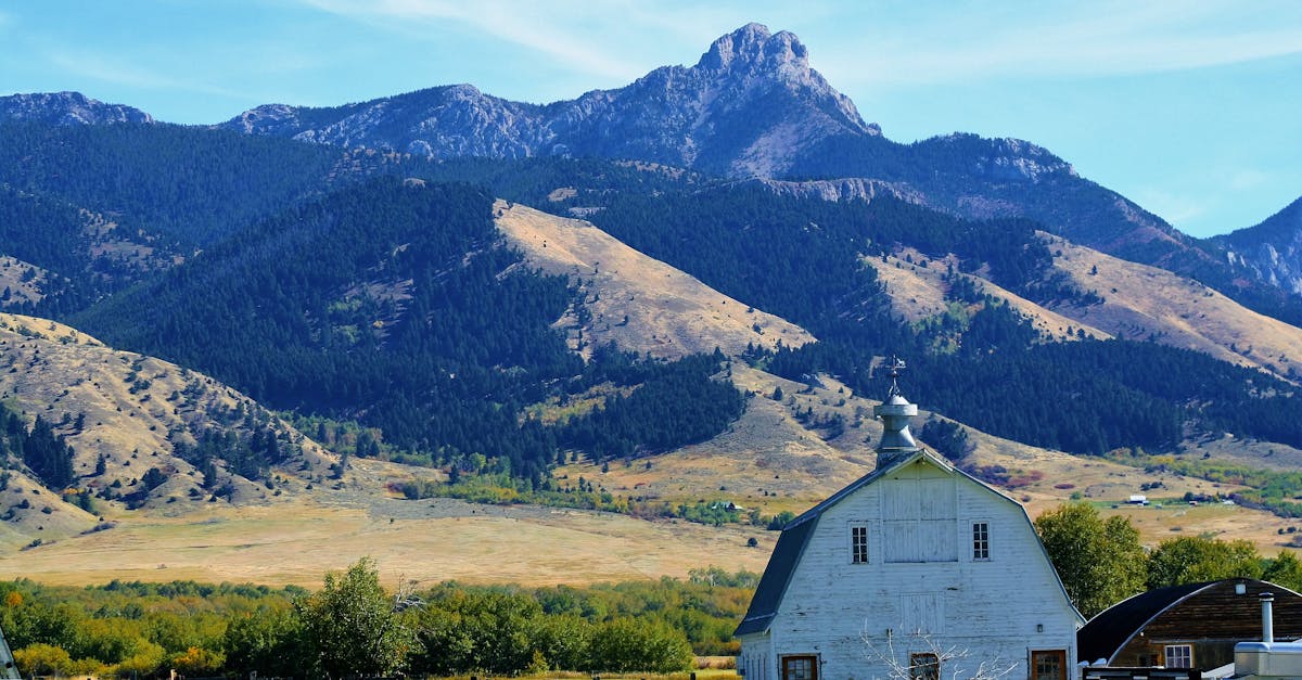 Your Complete Travel Guide to Bozeman, Montana