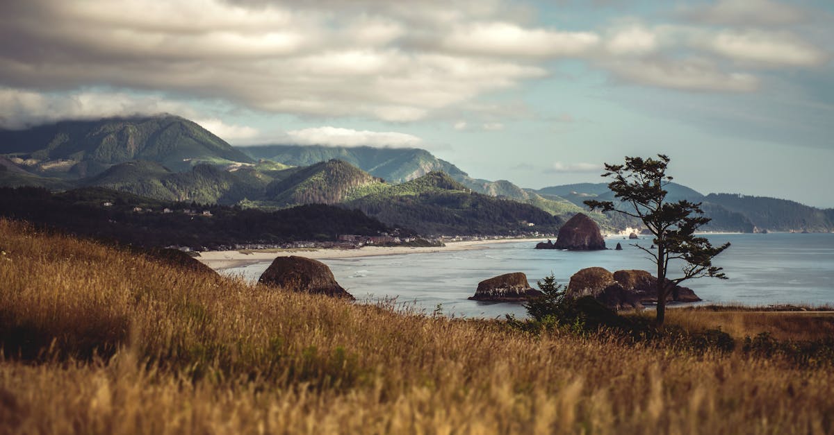 Your Complete Travel Guide to Cannon Beach, Oregon