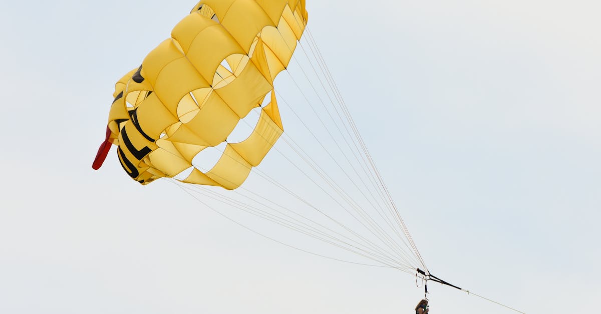 Top Things to Do in Cape May, New Jersey