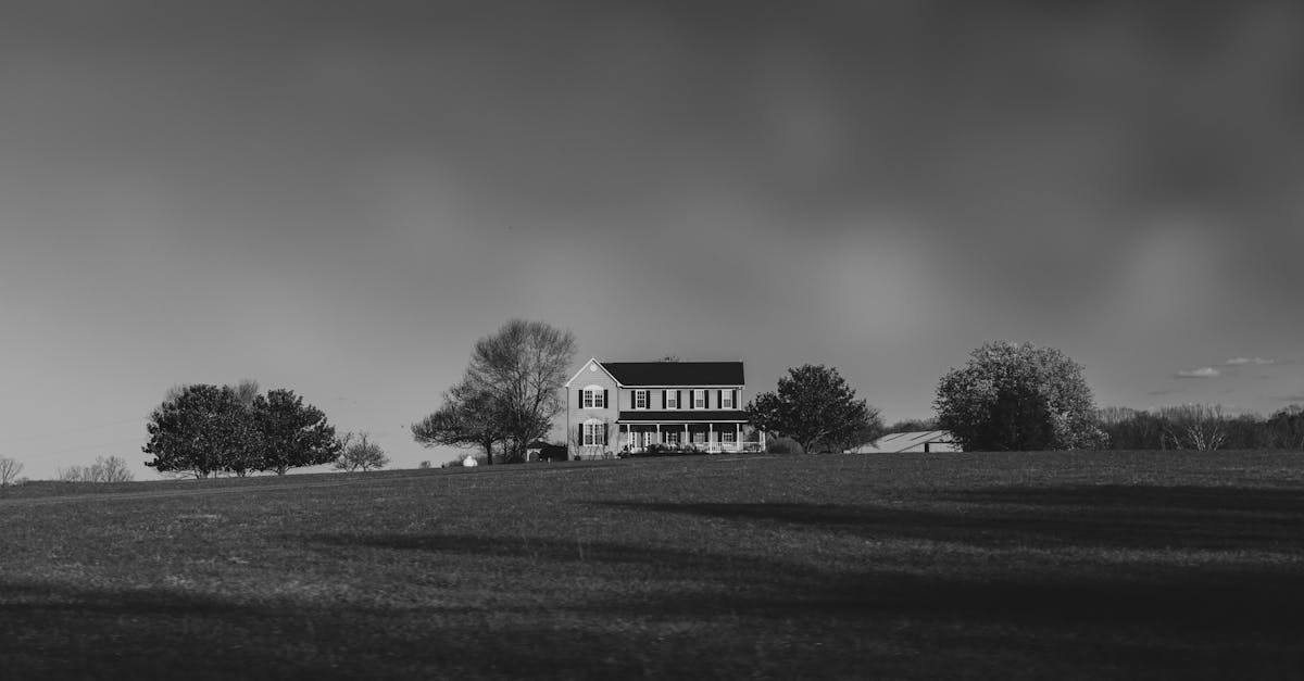 Your Complete Travel Guide to Charlottesville, Virginia