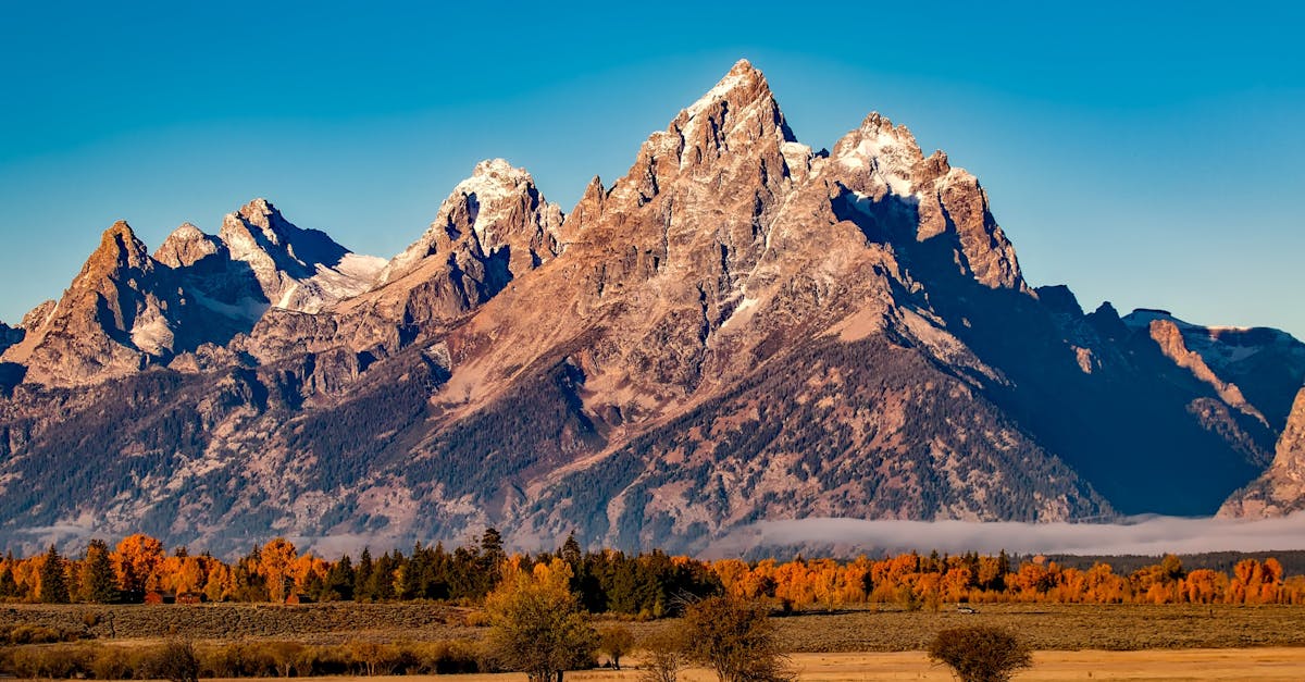 Top Things to Do in Cheyenne, Wyoming