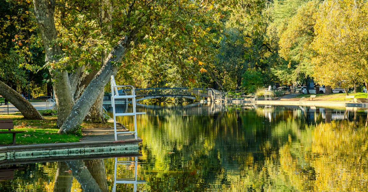 Your Complete Travel Guide to Chico, California