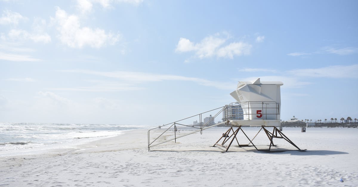 Your Complete Travel Guide to Clearwater, Florida