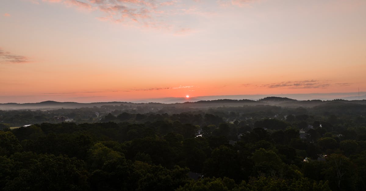 Your Complete Travel Guide to Cleveland, Tennessee