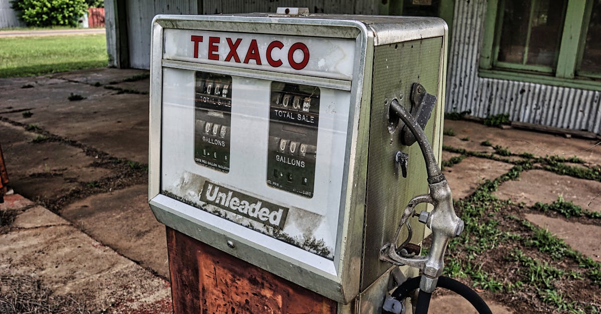 Your Complete Travel Guide to College Station, Texas