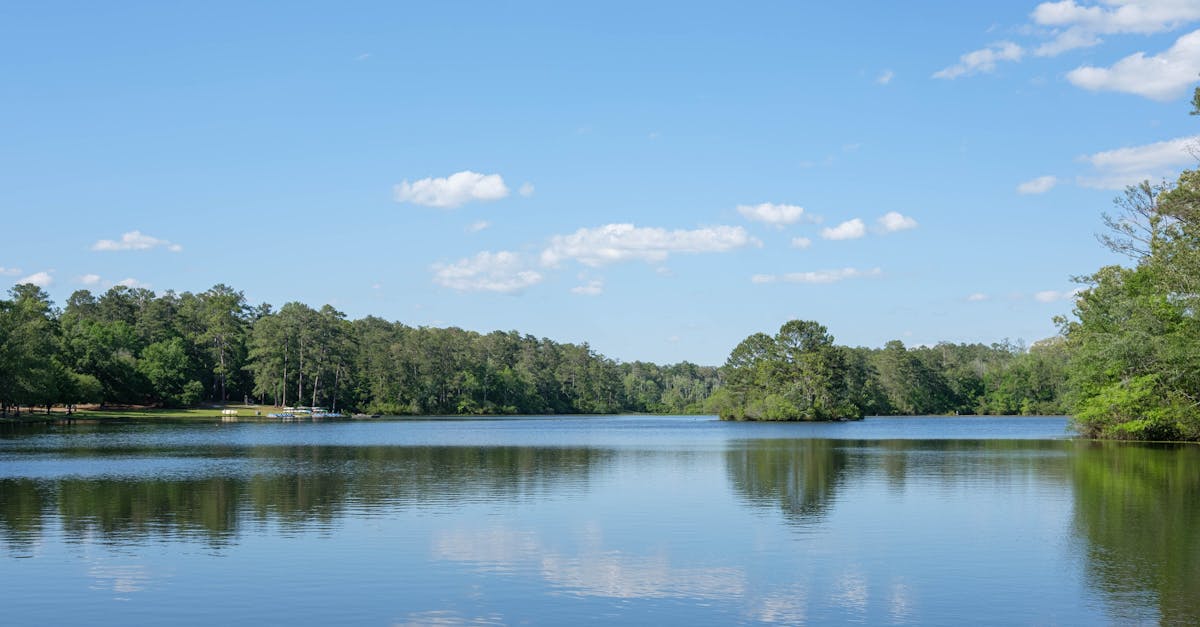 Your Complete Travel Guide to Columbia, Louisiana