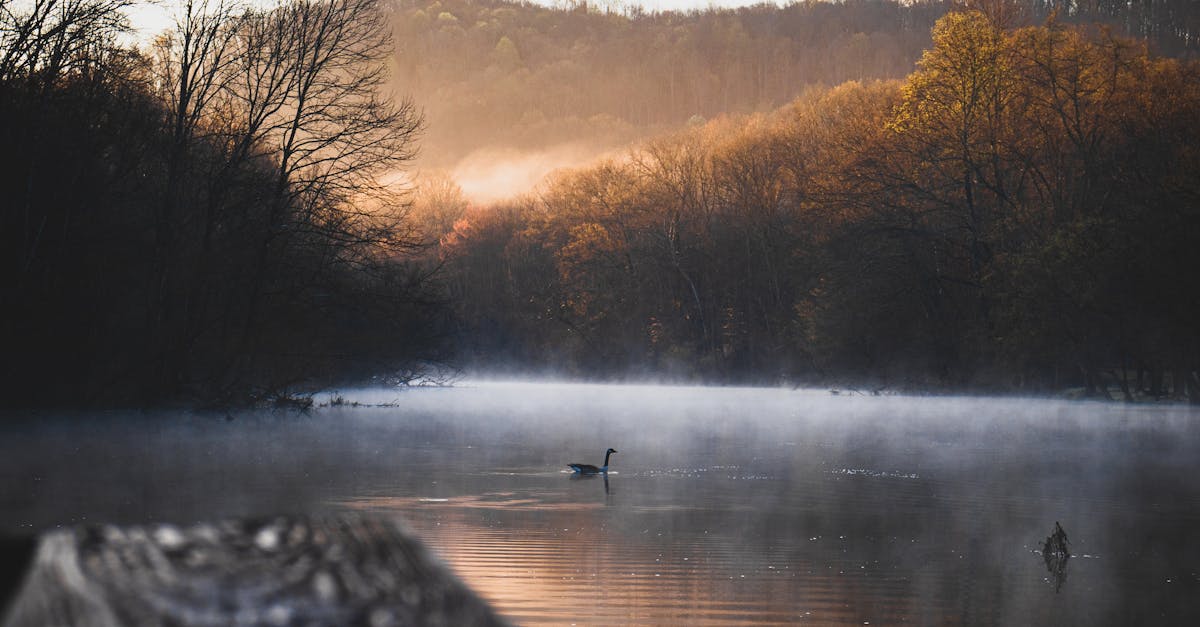 Your Complete Travel Guide to Cookeville, Tennessee