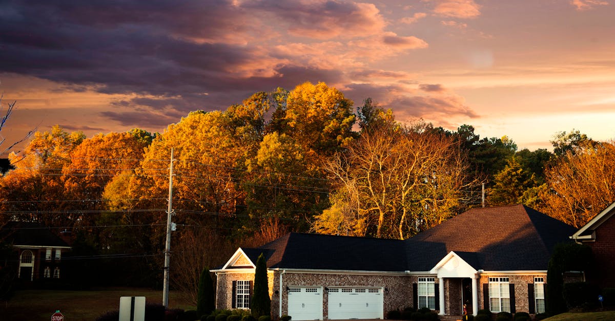 Your Complete Travel Guide to County Line, Alabama