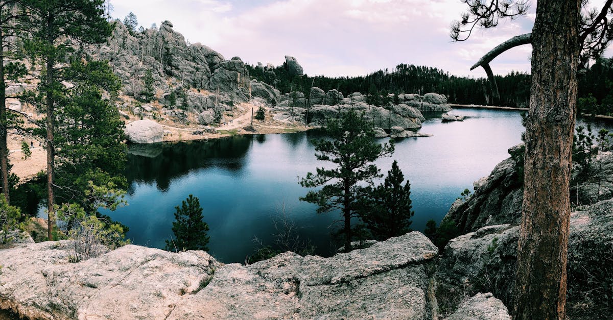 Top Things to Do in Custer, South Dakota