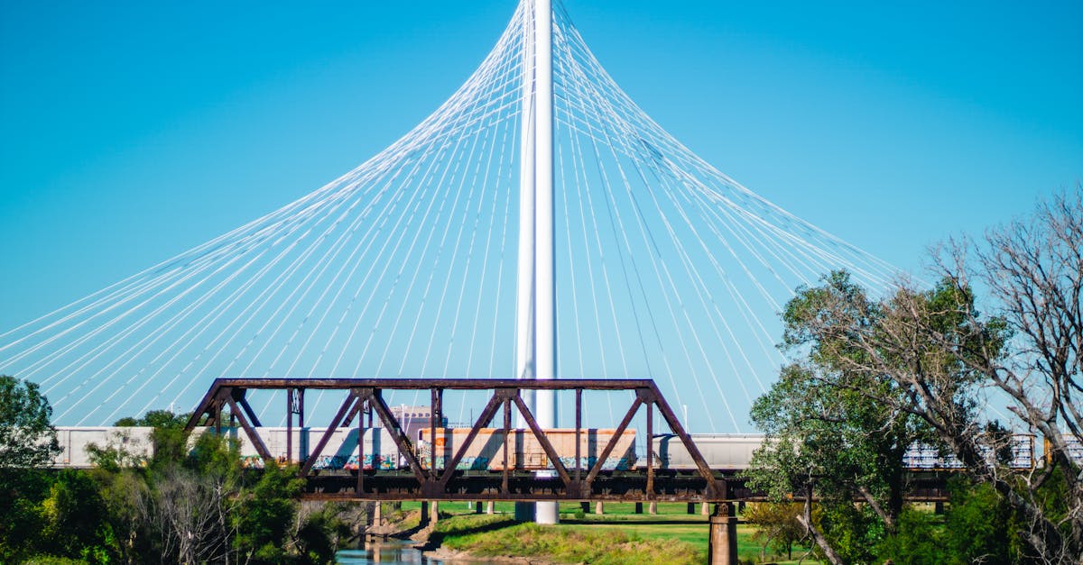 Top Things to Do in Dallas, Texas
