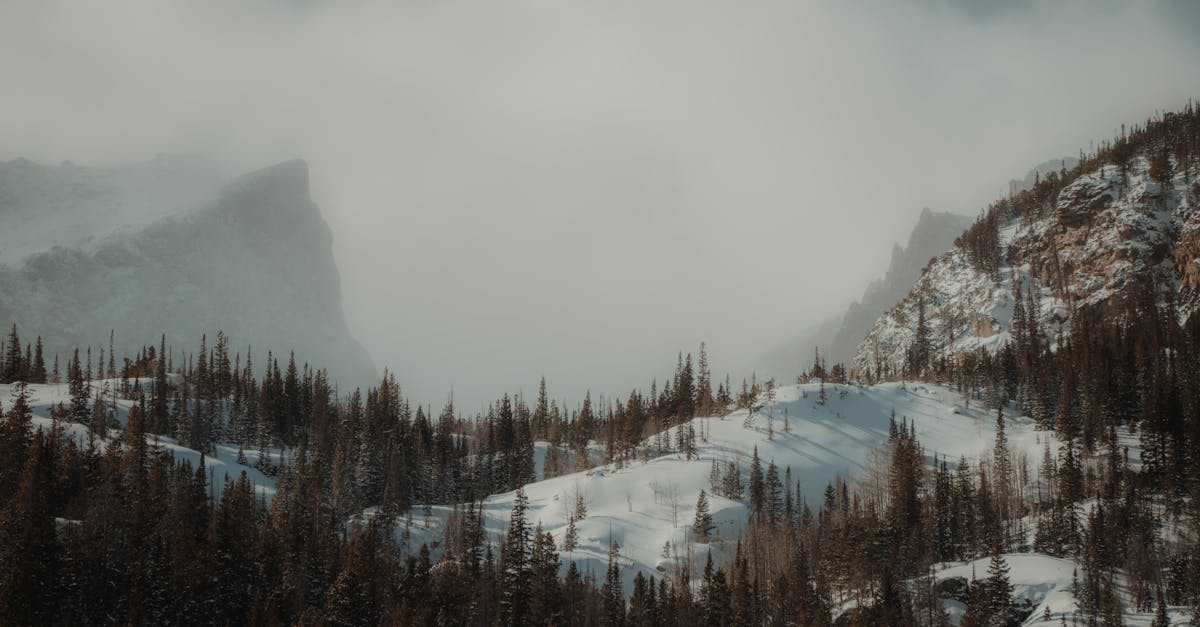 Top Things to Do in Denver, Colorado