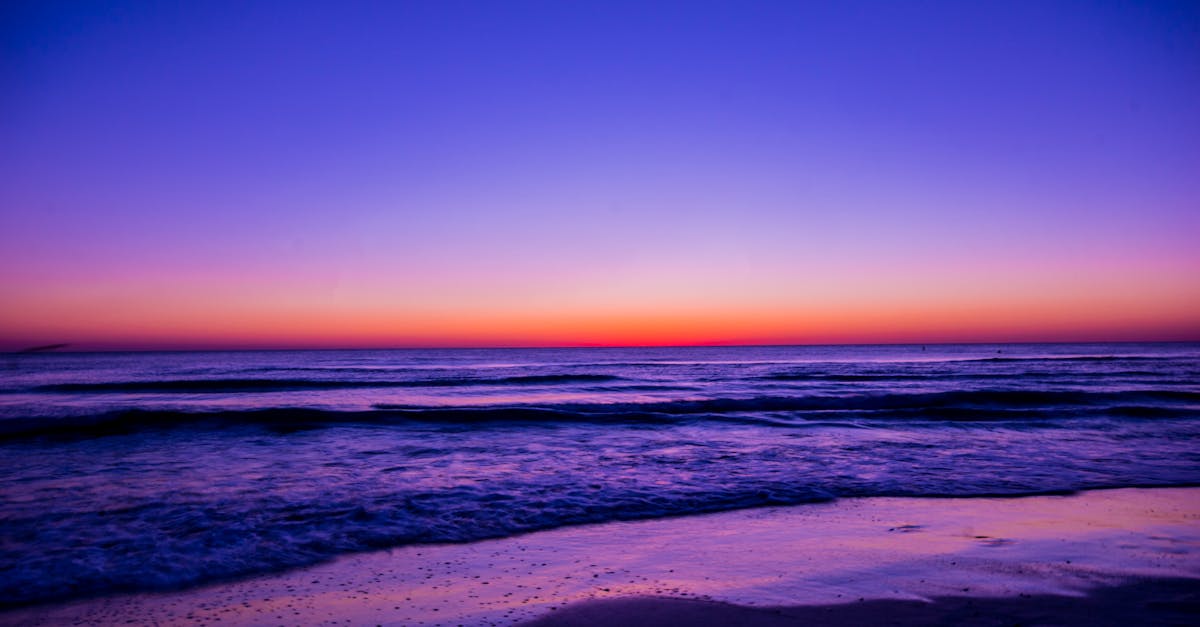 Top Things to Do in Dunedin, Florida