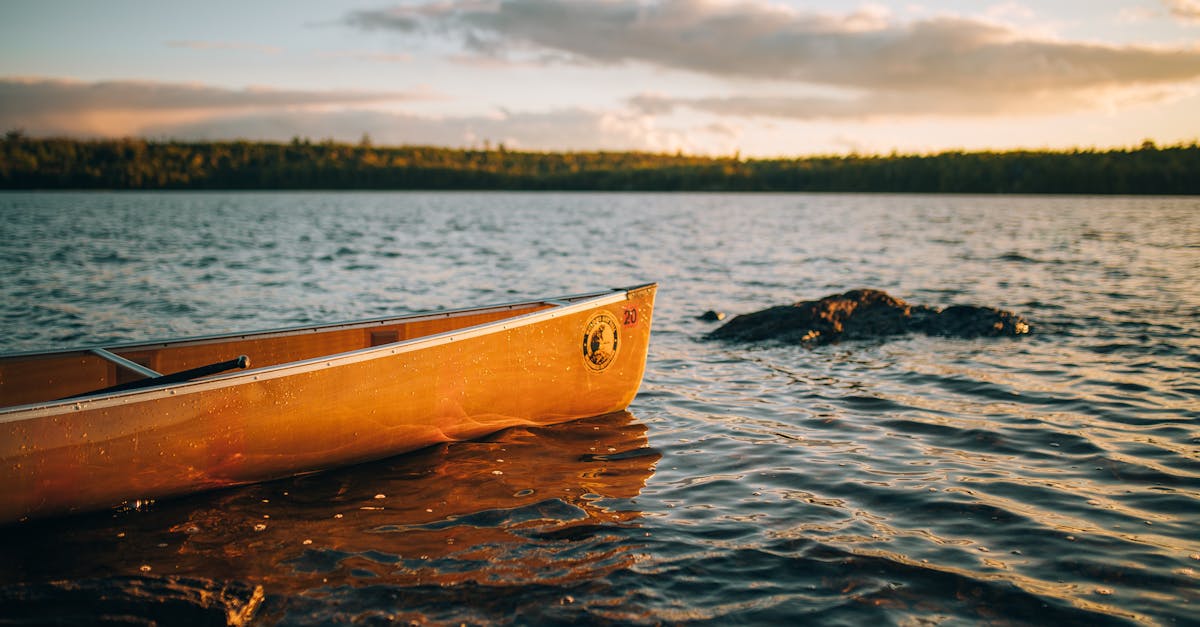 Your Complete Travel Guide to Ely, Minnesota