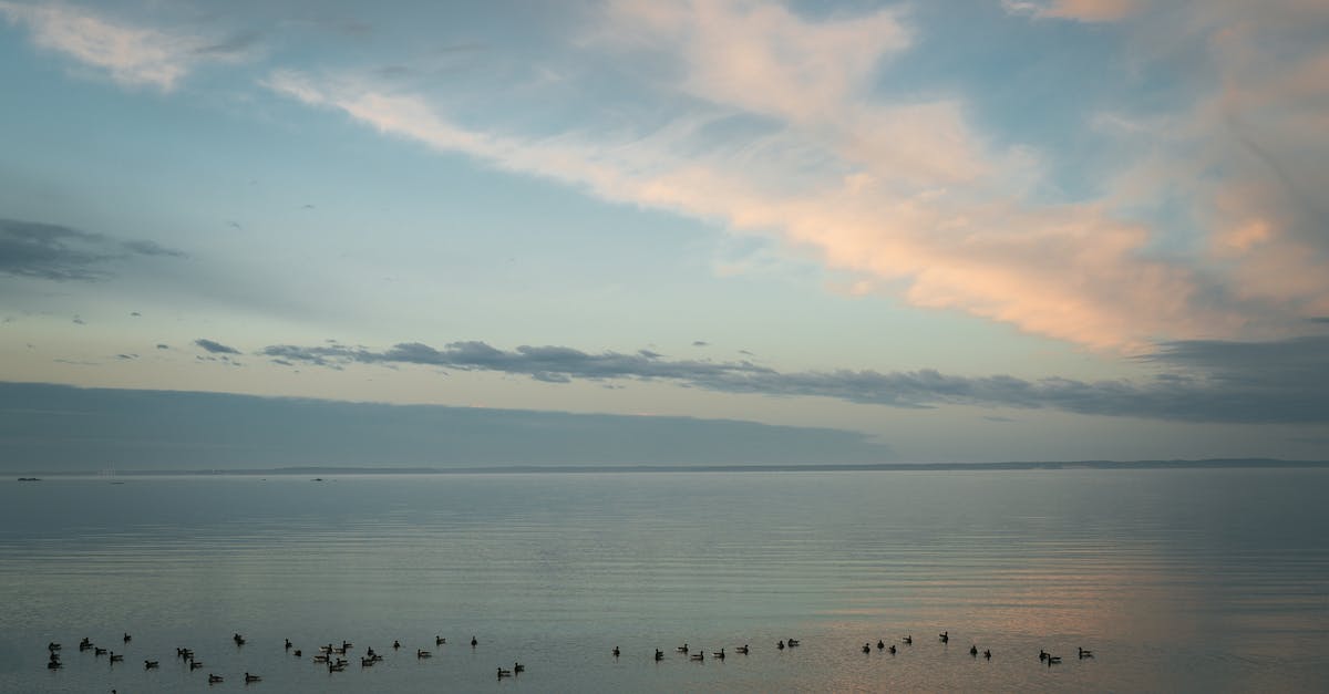 Top Things to Do in Farmington, Connecticut