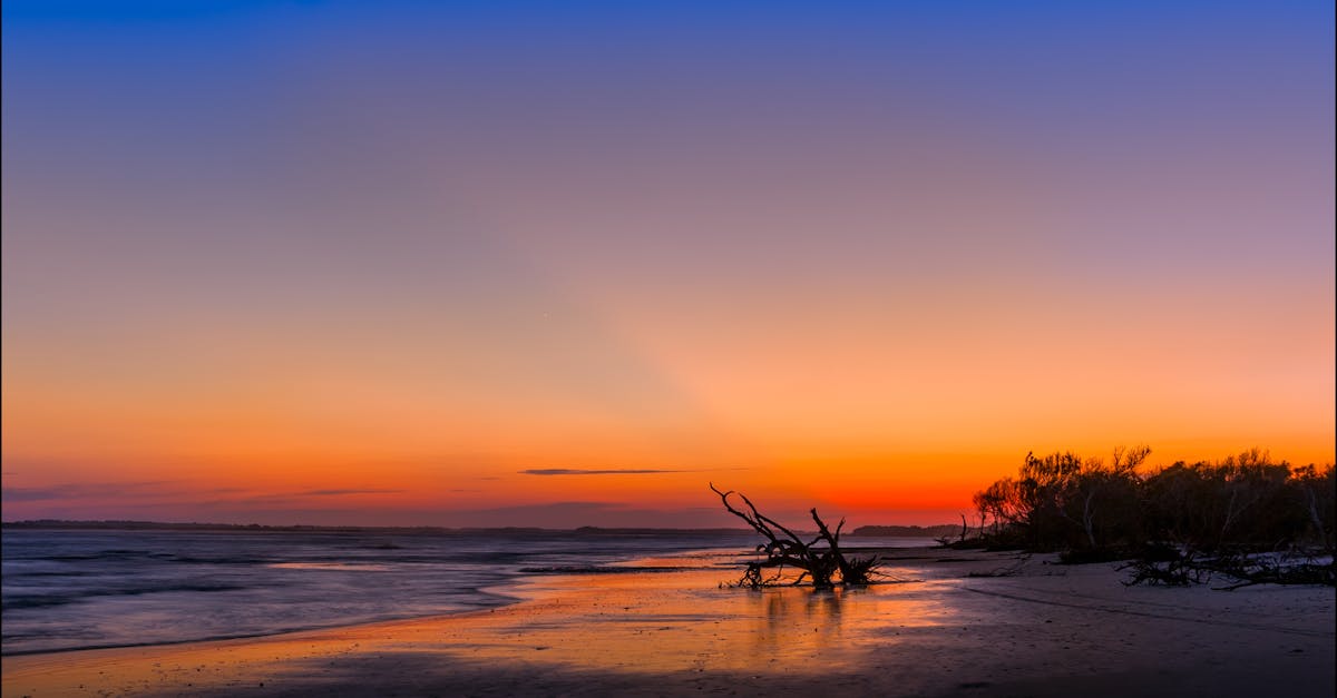 Your Complete Travel Guide to Folly Beach, South Carolina
