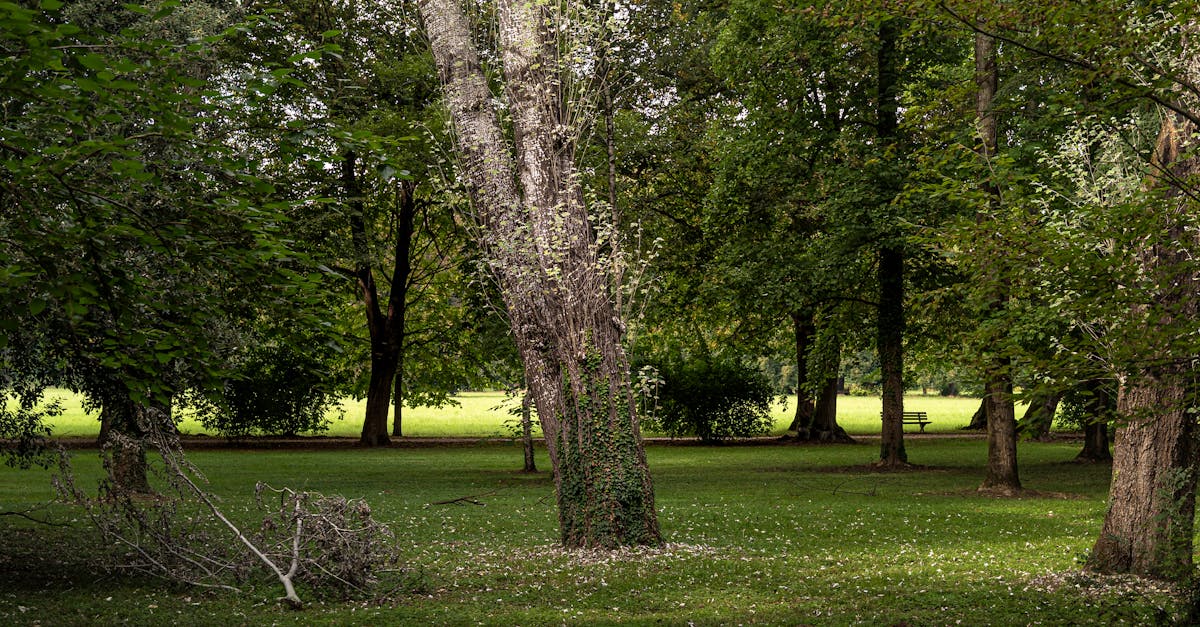 Your Complete Travel Guide to Glen Allen, Alabama