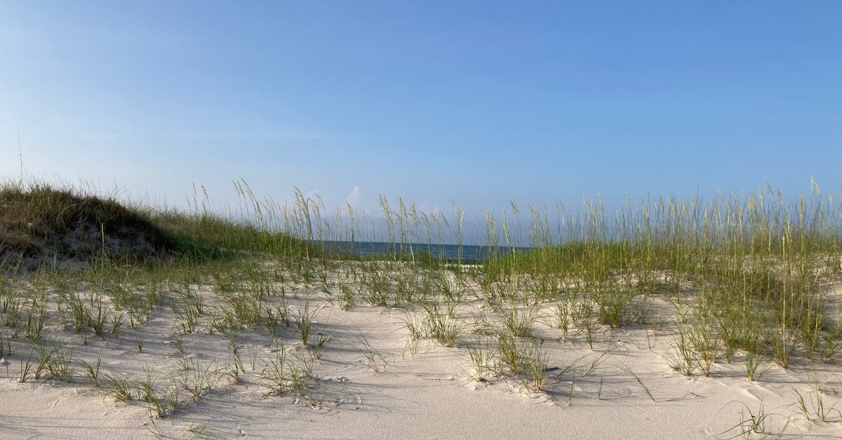 Your Complete Travel Guide to Gulf Shores, Alabama