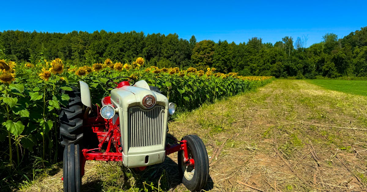 Your Complete Travel Guide to Havre de Grace, Maryland