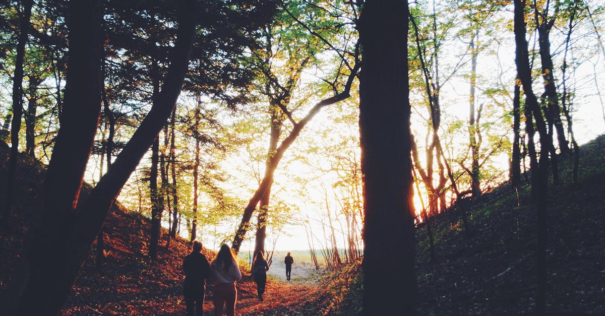 Your Complete Travel Guide to Holland, Michigan