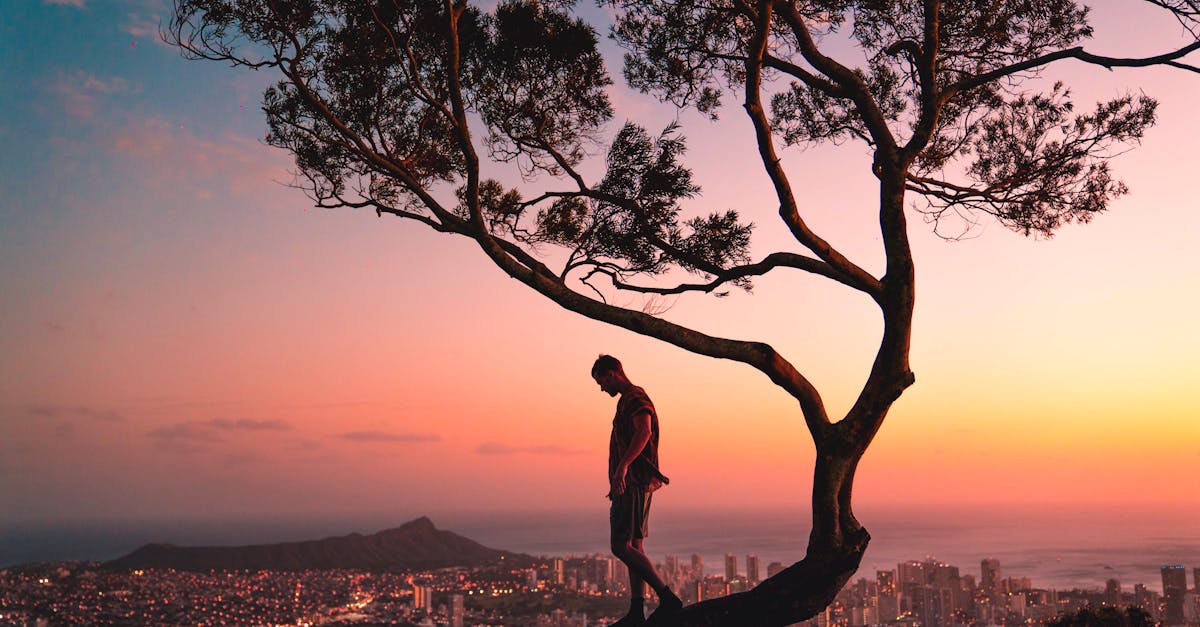 Top Things to Do in Honolulu, Hawaii