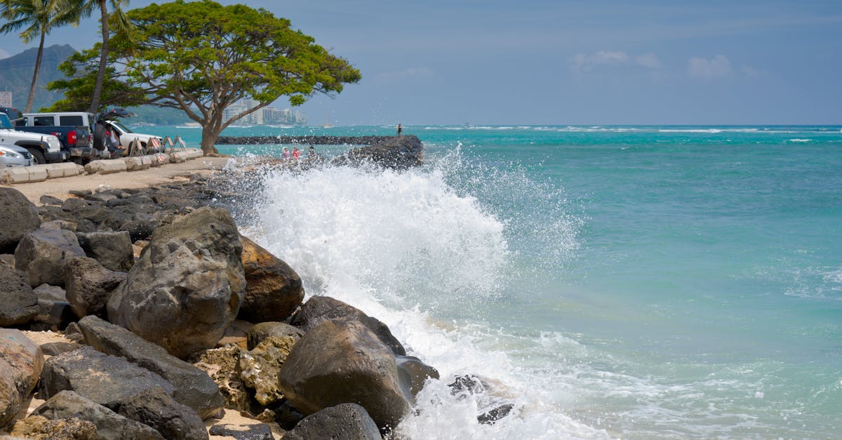 Your Complete Travel Guide to Honolulu, Hawaii