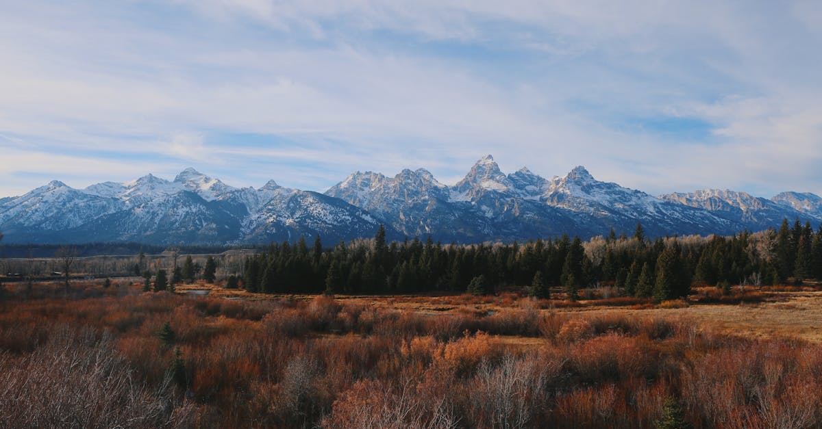 Your Complete Travel Guide to Jackson Hole, Wyoming