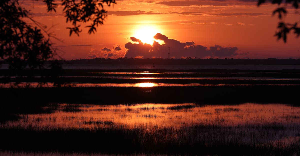 Your Complete Travel Guide to Jekyll Island, Georgia