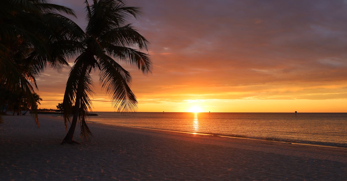 Top Things to Do in Key West, Florida