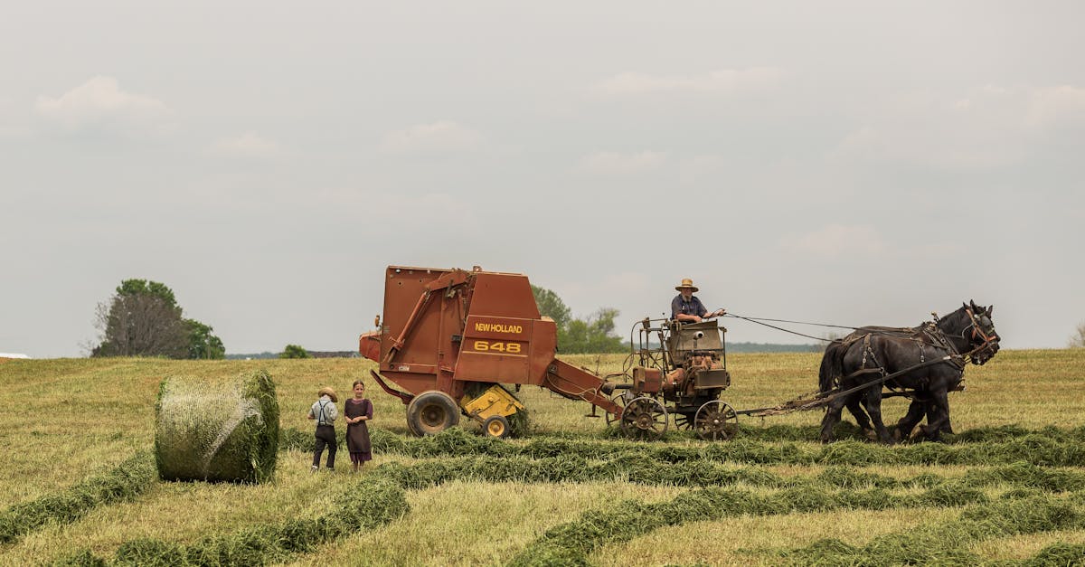 Your Complete Travel Guide to Lancaster, Pennsylvania