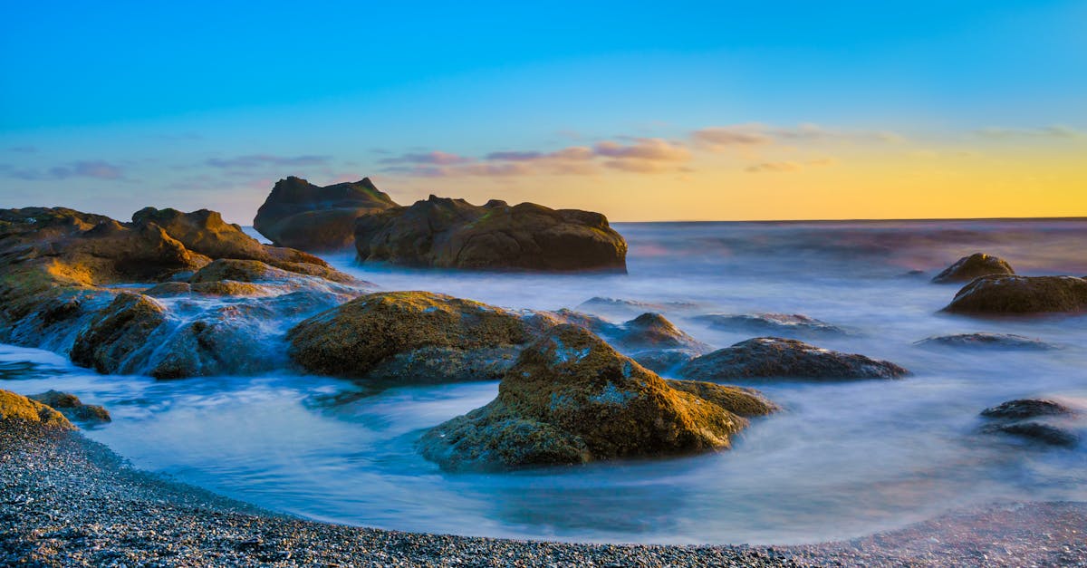 Your Complete Travel Guide to Long Beach, Washington