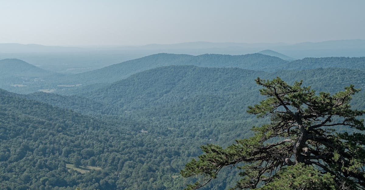 Your Complete Travel Guide to Luray, Virginia