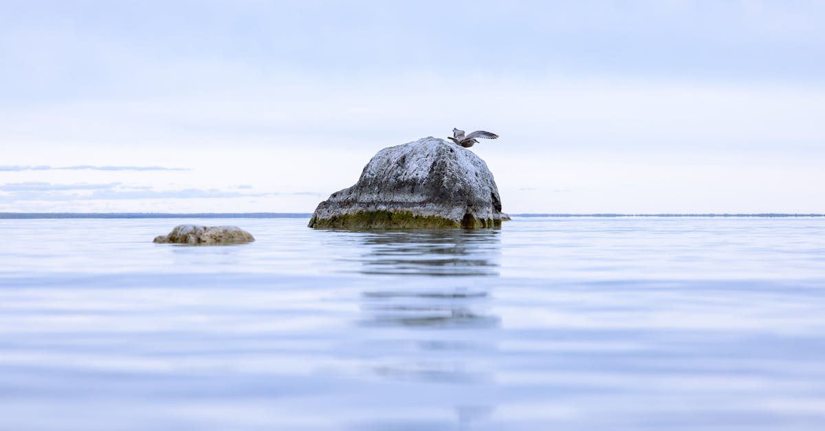 Top Things to Do in Mackinac Island, Michigan
