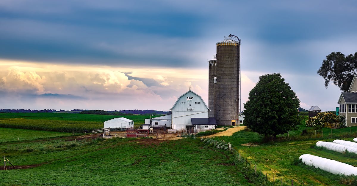 Top Things to Do in Madison, Wisconsin