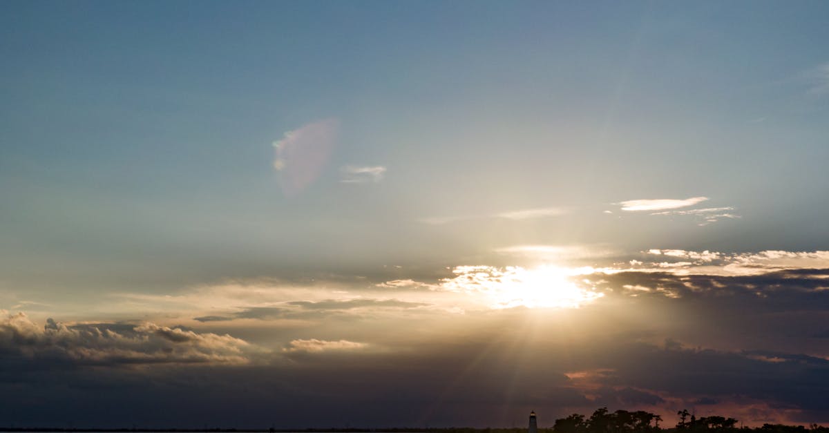 Your Complete Travel Guide to Madisonville, Louisiana
