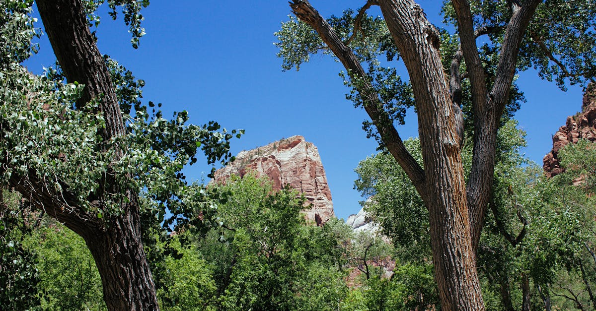 Memorial Day Weekend Getaway in Zion National Park Trip Idea