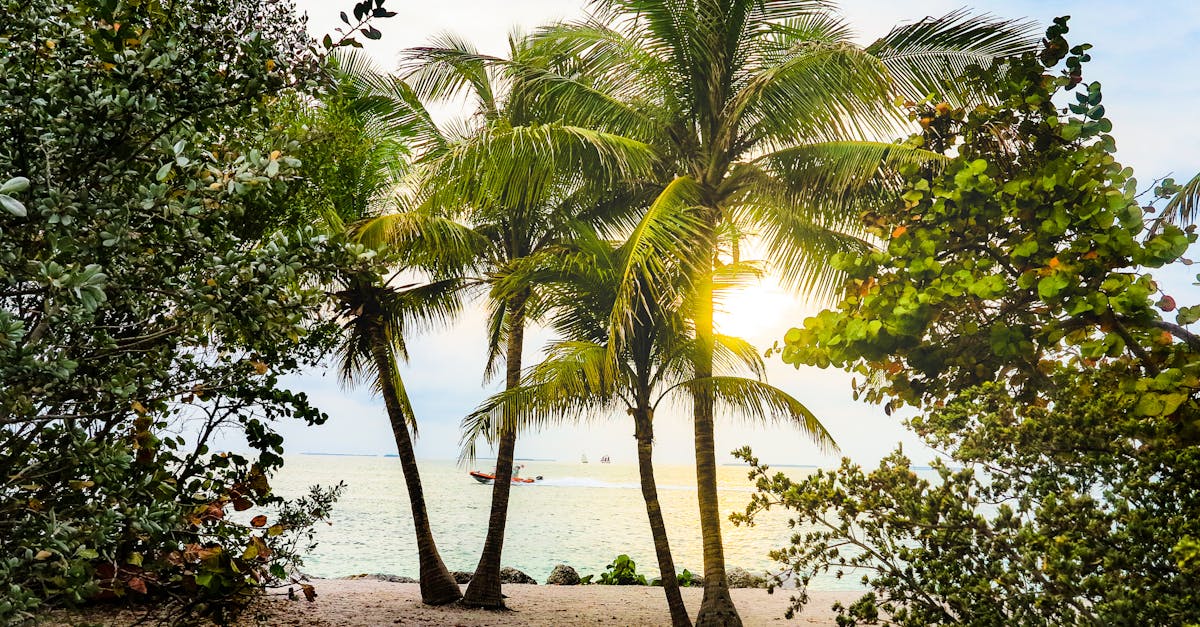 Top Things to Do in Miami, Florida