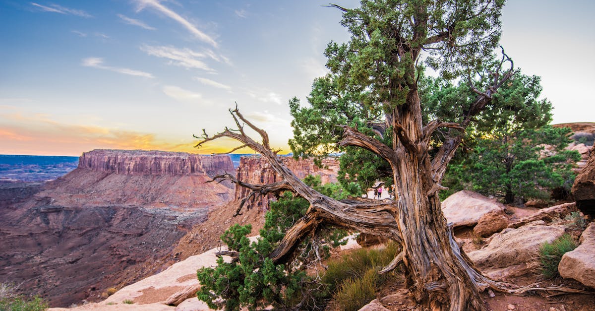 Your Complete Travel Guide to Moab, Utah