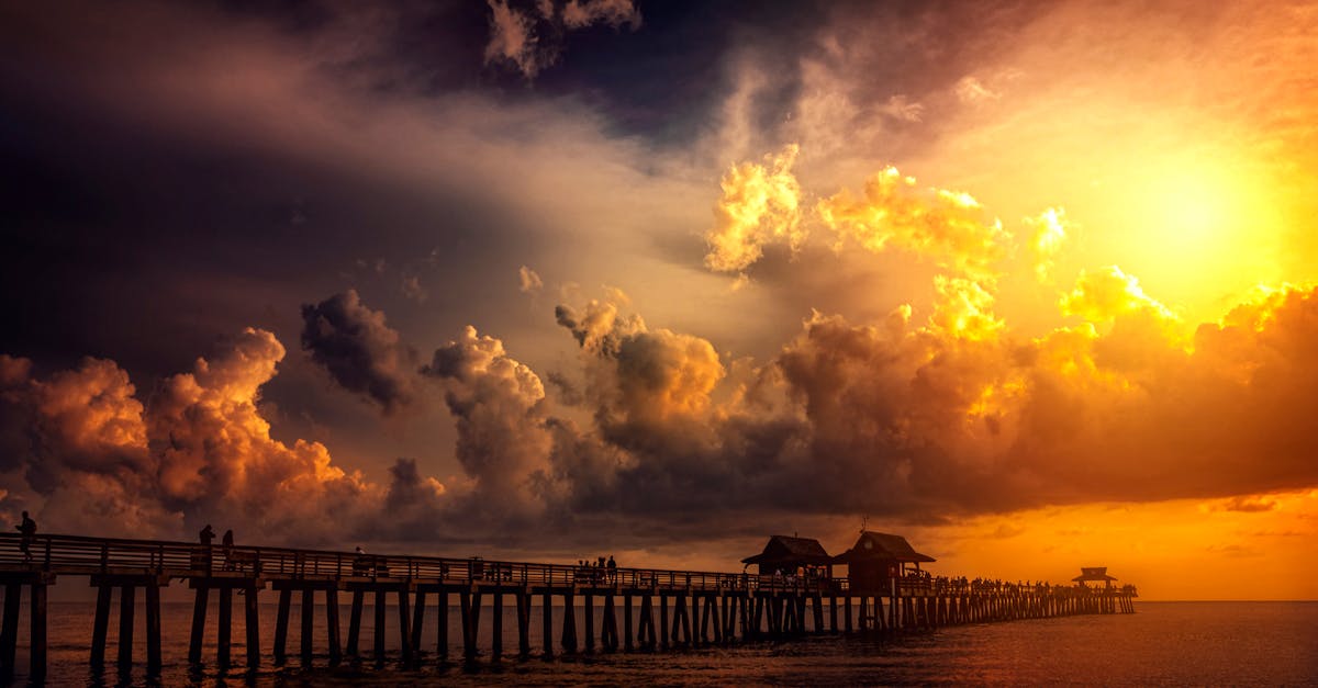 Top Things to Do in Naples, Florida