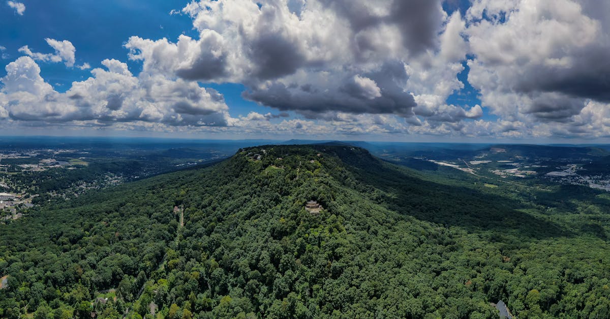 Your Complete Travel Guide to Oak Ridge, Tennessee