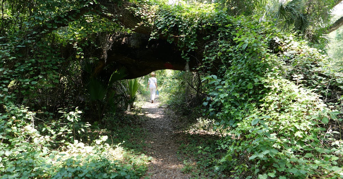 Your Complete Travel Guide to Ocala, Florida